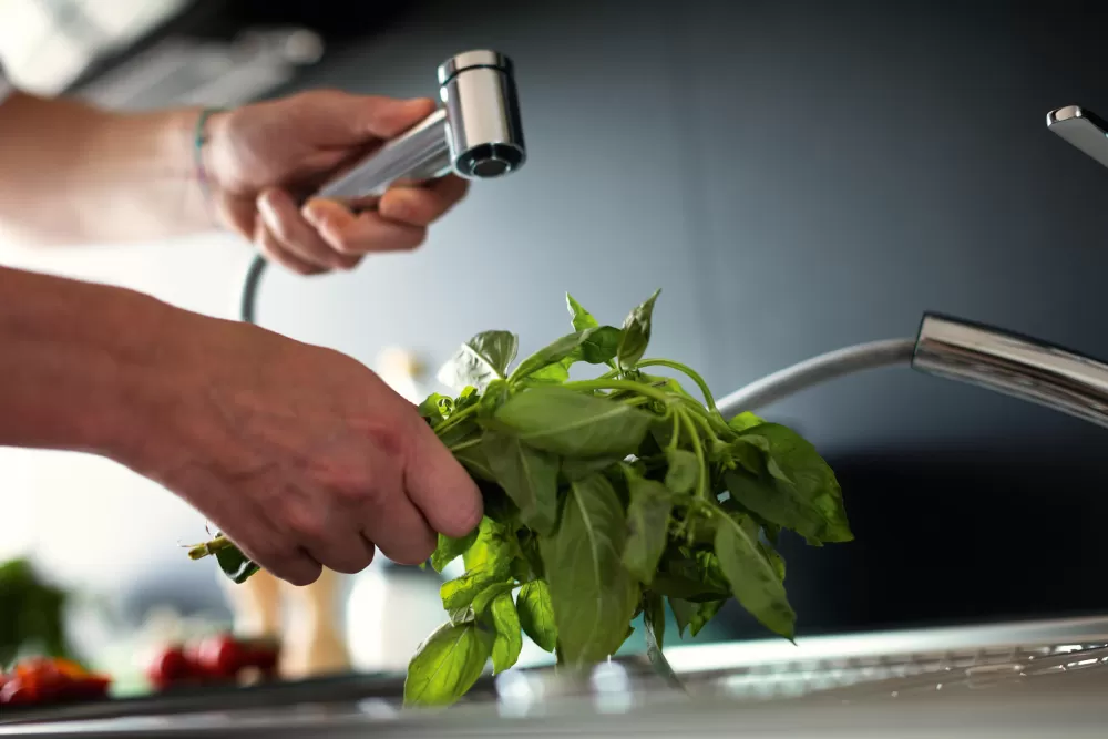 franke batarya modelleri